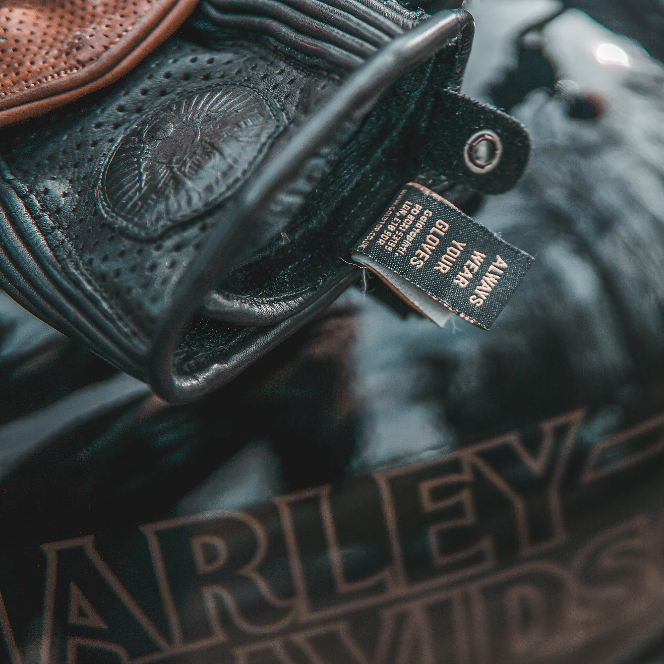 Silk Lined Predator Gloves - Image 8