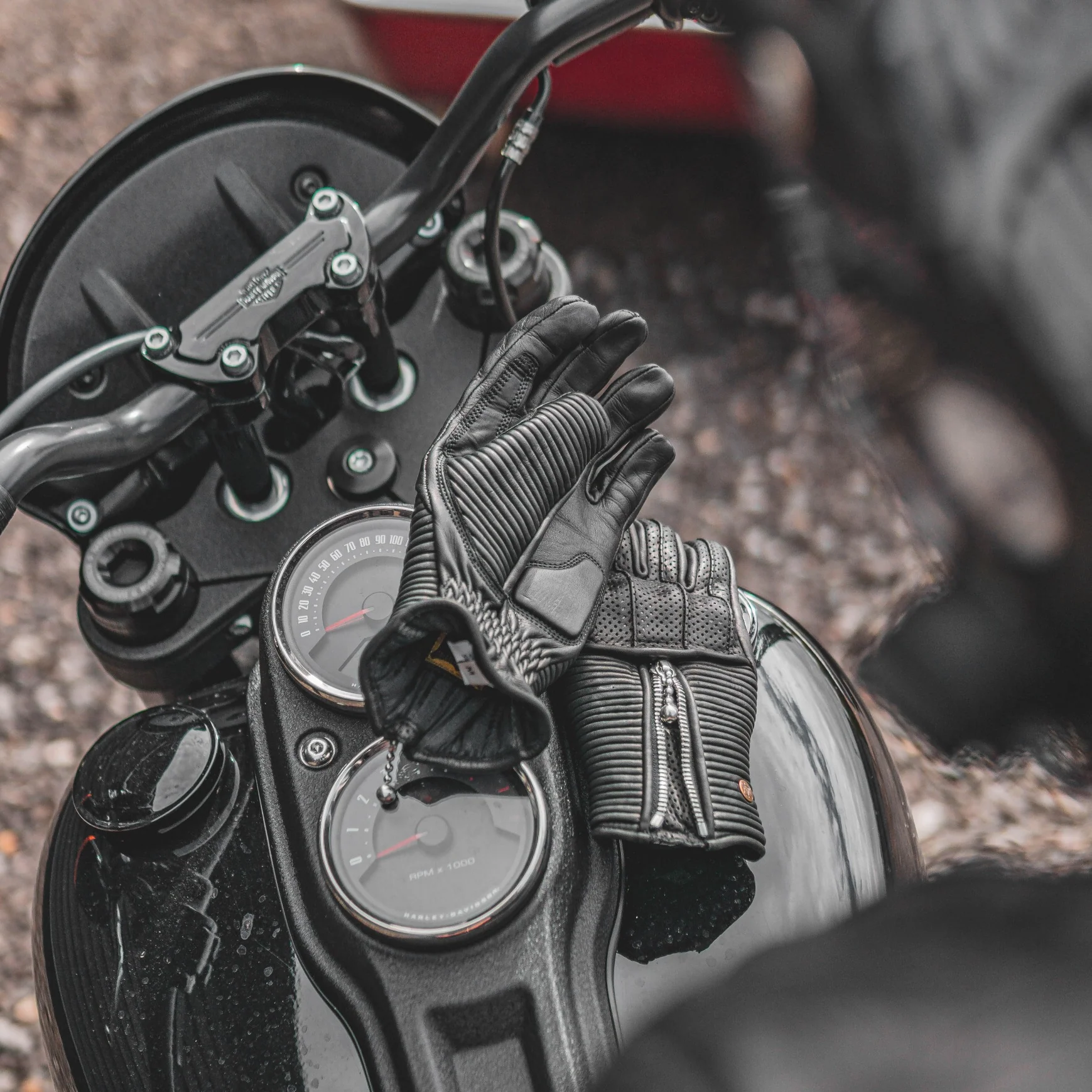 Silk Lined Raptor Gloves - Image 17